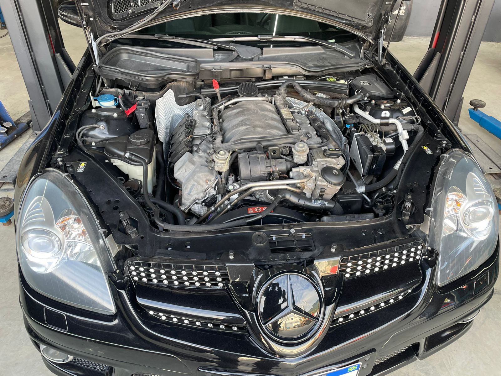 f-mercedz.jpg